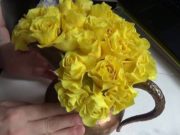 Фарфор Риты Шледе